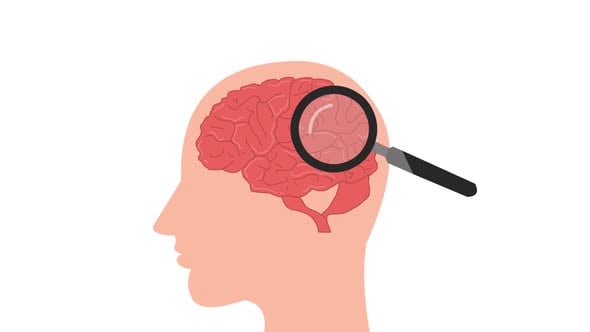 Animated Brain Research with Magnifier, Backgrounds Motion Graphics ft ...