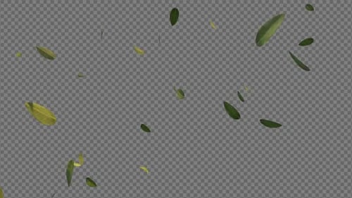 Green Leaves Falling 4k
