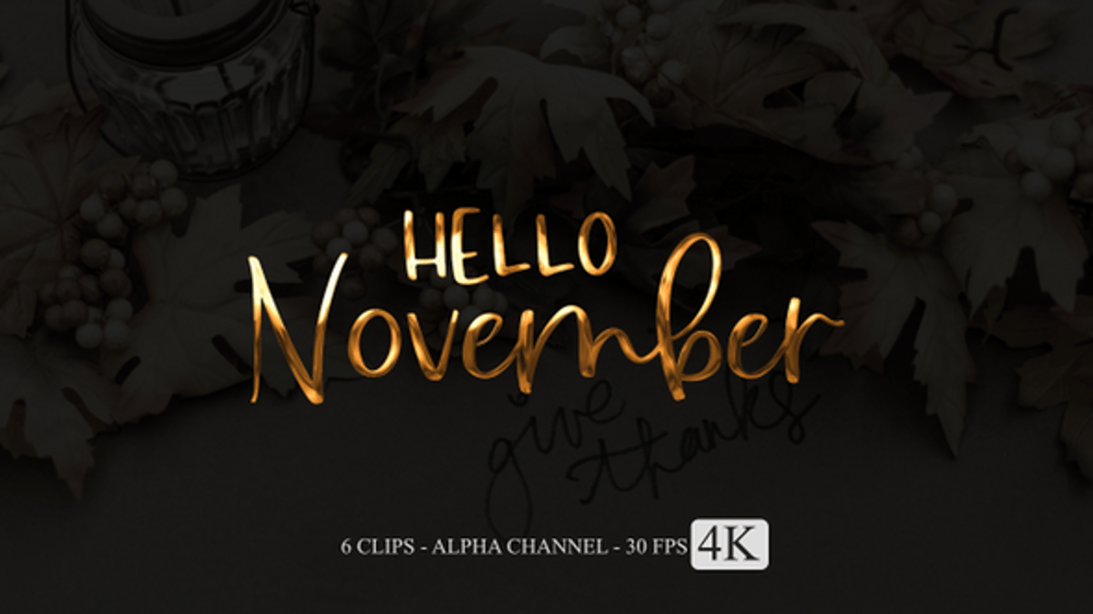 Animated Hello November Script Text Reveal Pack, Backgrounds Motion ...