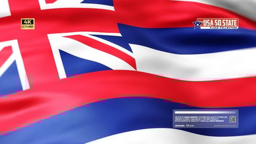 Seamless Loop of Waving Hawaii State Flag