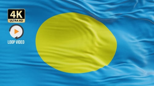 Realistic Waving Fabric Flag Logo Animation