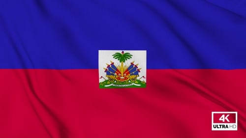 Haitian Flag Waving Loop with National Emblem
