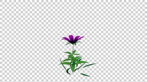 Animated Purple Flower with Green Leaves Gently Swaying