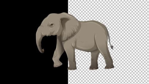 Animated Cartoon Elephant Illustration with Alpha Channel