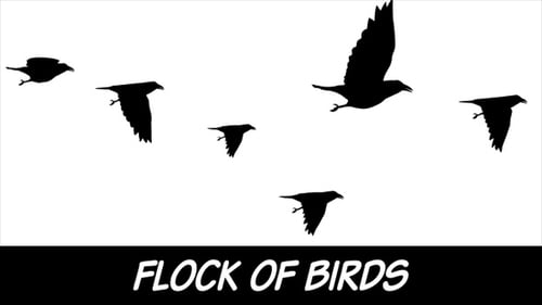 Flock Of Birds
