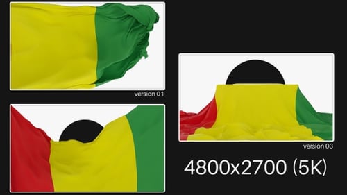 Pack Of Guinea Flag On Alpha