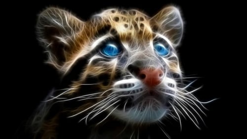 Fractal Little Clouded Leopard - Blue Eyes Close Up 4K