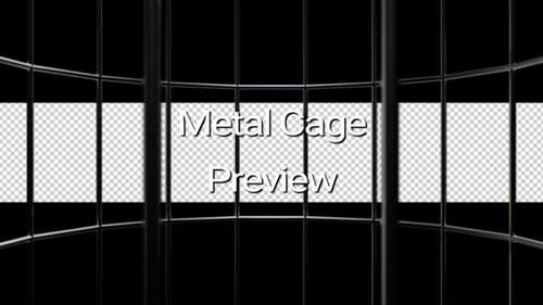 Metal Cage