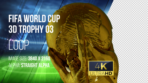 FIFA Weltmeisterschaft 3D Trophäe 03