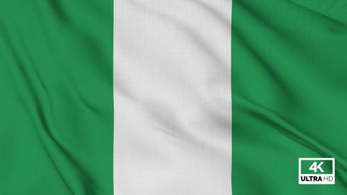 Realistic Nigeria Flag Waving Background Loop