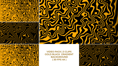 Dynamic Abstract Gold and Black Fluid Lines Background
