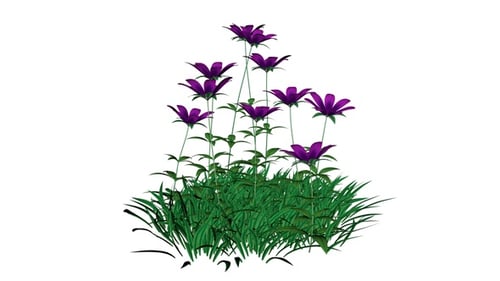 Gentle Swaying Purple Flowers and Grass Animation