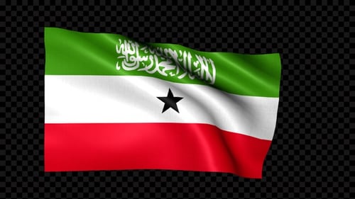 Realistic Waving Somaliland Flag Seamless Loop