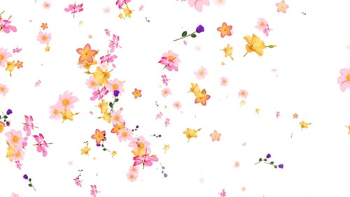 Blumen fallen Seamless Loop Alpha V4