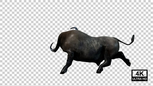 Buffalo Attack Right Leg Side View