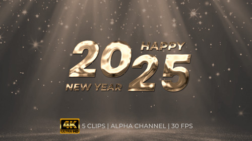 Happy New Year 2025 Golden and Silver Animated Titles