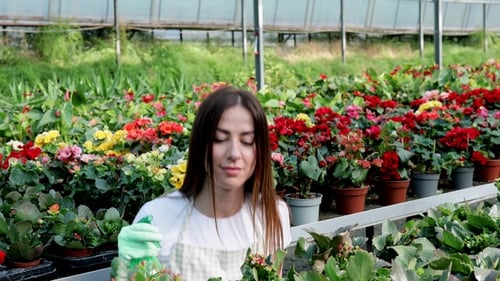 Young Woman Sprays Flowers in Greenhouse