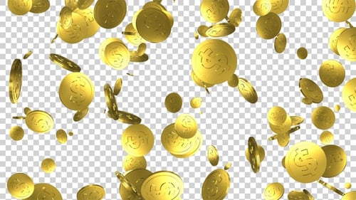 Dollar Gold Coin Falling Alpha Loop