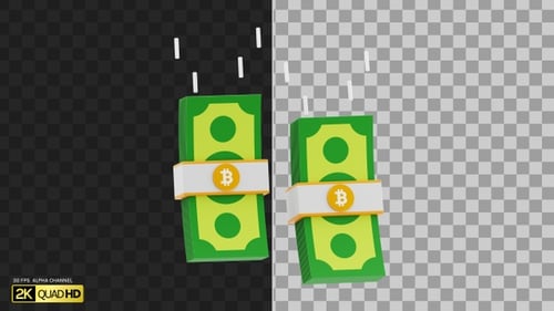 3D Bitcoin Money Stacks | Alpha Channel