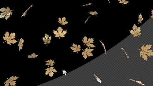 hojas de otoño que caen