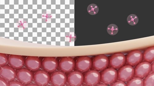 3D Animation of Molecular Structure of Skin Cells | Alpha Channel