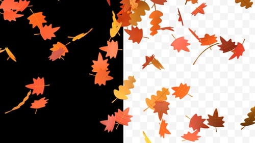 Autumn Falling Leaves Animation (2K, Transparent)