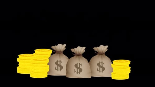 Animated Money Bags and Stacking Gold Coins