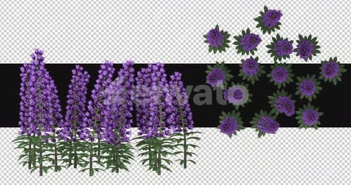 Pack Of 2 Lapinus Moving In The Wind On Alpha Loop