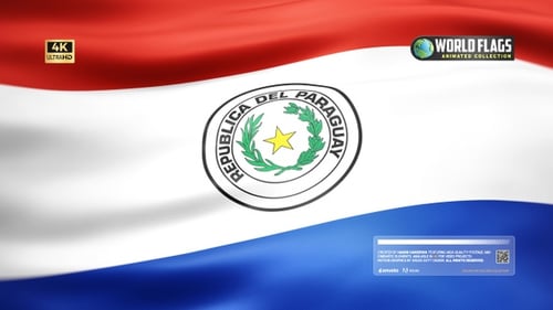 Realistic Waving Flag of Paraguay with National Emblem