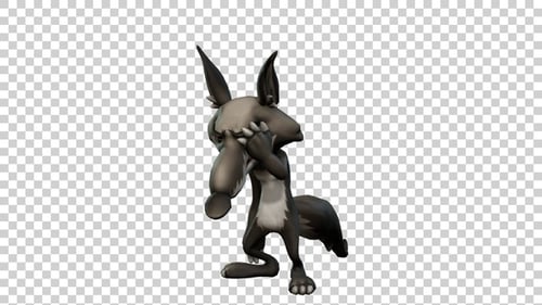 Coyote Cartoon Failure Animation Angle View