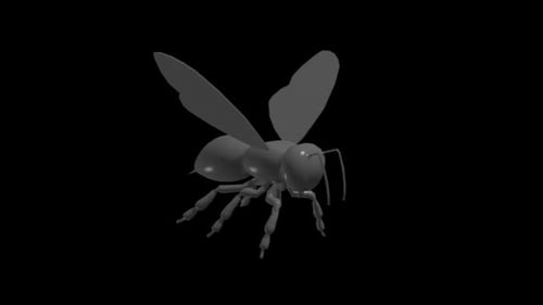 3D Stylized Wasp Flying Animation Loop with Alpha Channel