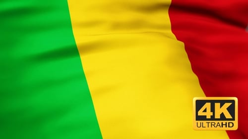 Seamless Waving Flag Animation with Green Yellow Red Stripes