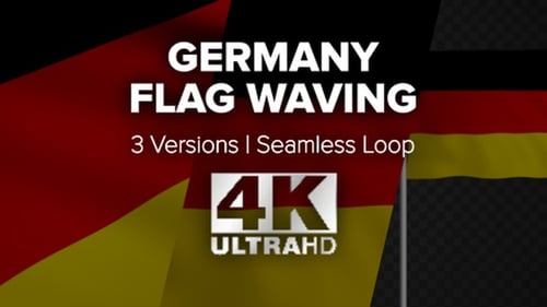 Waving German Flag Animation with Alpha Channel