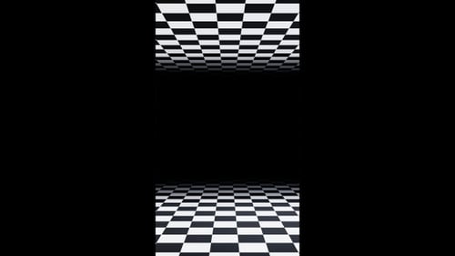 Vertical video black and white checker frame optical illusion loop animation