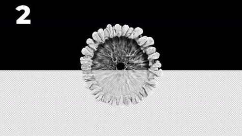 Dynamic White Smoke and Fluid Reveal Pack with Alpha Channel