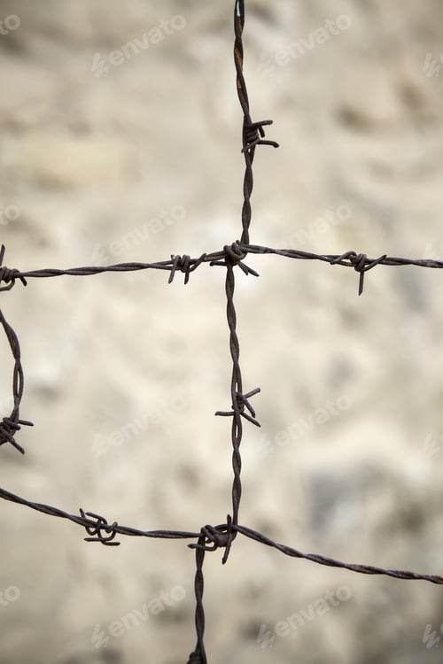 Preview: Segregation Wire In Refugee Camp, Freedom And Prison, Immigration