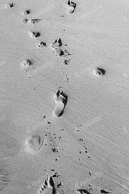 Preview: Foot Prints In Sand On Beach, Summer Vacation