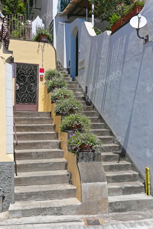 Preview: Double Stairs With Plant Pots In Between