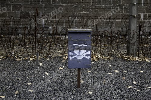 Preview: Death Signal In Concentration Camp, Signal Detail