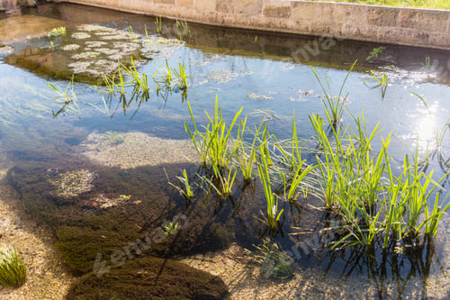 Preview: Water Games In The Old Mill - Rural Life