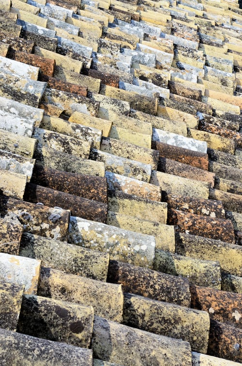 Preview: Features Tiled Roof In Matera, The Stones Of Matera, European Capital Of Culture 2019, Italy