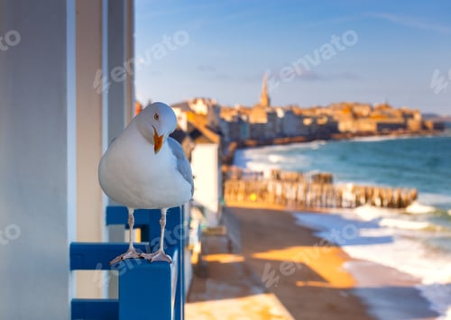 Preview: Saint Malo. The City Embankment At Dawn.