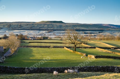 Preview: Frosty Morning In Wensleydale