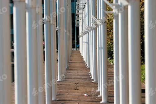 Preview: Flag Poles Tunnel Vision In A City Park