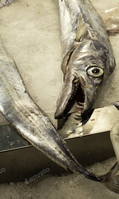 Preview: Eels In Fish Counter Shop, Food And Market