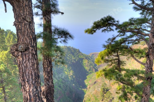 Preview: La Palma Island Coastline, Spain, Hdr Image