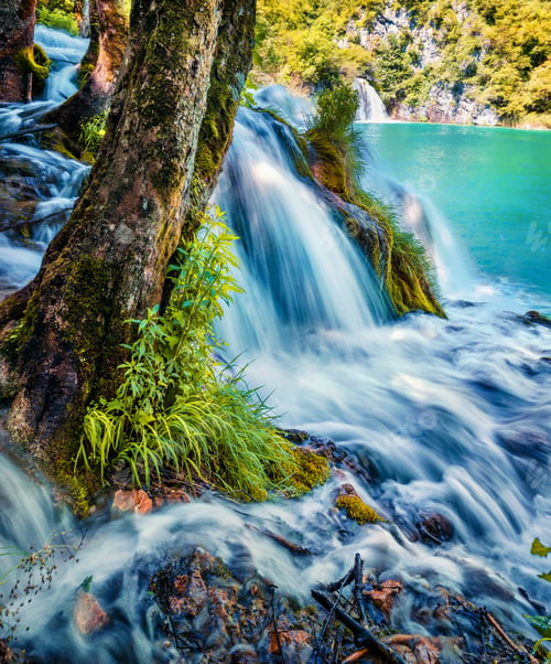 Preview: Picturesque Morning View Of Plitvice National Park. Bright Spring Scene Of Green Forest With Pure