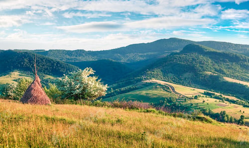 Preview: Haymaking In A Carpathian Village. Sunny Summer Morning Of Mountain Valley With Fresh Grass