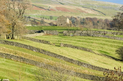 Preview: Drystone Wall Patterns In Wensleydale In The Yorkshire Dales