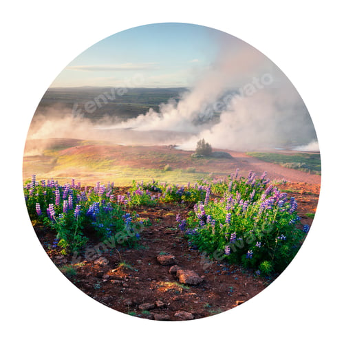 Preview: Round Icon Of Nature With Landscape. Erupting Of The Great Geysir Lies In Haukadalur Valley On The